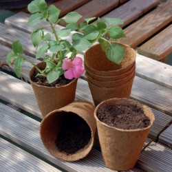 Trebor Pestovateľské nádobky o6cm BIO 160000
