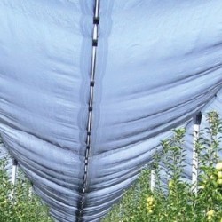 Trebor Sieť proti krúpám 6x10m 2098450