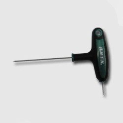 HONITON Skrutkovač imbus 2x100mm HW1516-6-6100020